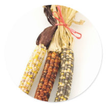 Indian Colourised Corn On White Background stickers by lifesphere Indian Colourised Corn On White Background stickers