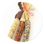Indian Colourised Corn On White Background Round Sticker
