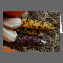Indian Corn Card