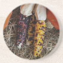 Indian Corn Coaster coasters
