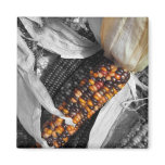 Indian Corn Magnet