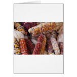 Indian Corn Maize Zea mays Cards