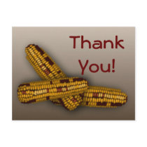 Indian Corn postcards by sharpcreations Indian Corn postcards