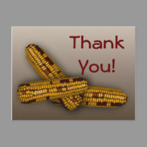Indian Corn postcards by sharpcreations Indian Corn postcards