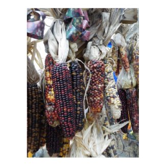 Indian Corn Poster print