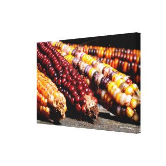 Indian Corn Wrapped Canvas Print