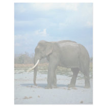 Indian Elephant-huge bull Customized Letterhead