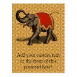 Indian Elephant w/Red Cloth Postcard