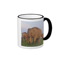 Indian Elephants in the grassland,Corbett Coffee Mug