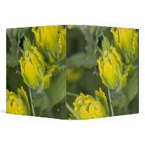 Indian Golden Paintbrush Castilleja Vinyl Binder