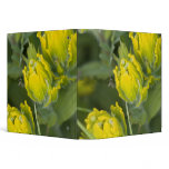Indian Golden Paintbrush Castilleja Vinyl Binder