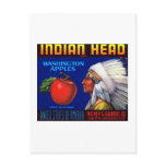 Indian Head Washington Apples Post Card