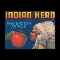 Indian Head Washington Apples Vintage Ad postcards