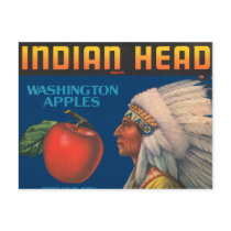 Indian Head Washington Apples Vintage Ad postcards