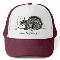 Indian Hedgehog Gene hat hats