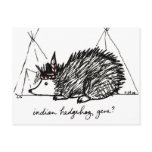 Indian Hedgehog Gene postcard