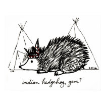 Indian Hedgehog Gene print posters