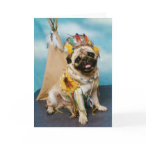 Indian Native American Pug Dog