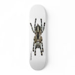 Indian Ornamental Board - naked Skate Board Decks
