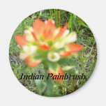 Indian Painbrush Fridge Magnets