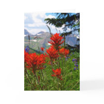 Indian Paint Brush Card