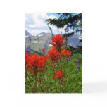 Indian Paint Brush Card