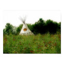 Indian Paint Brushes posters by mjvirtual Indian Paint Brushes posters
