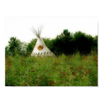 Indian Paint Brushes posters by mjvirtual Indian Paint Brushes posters