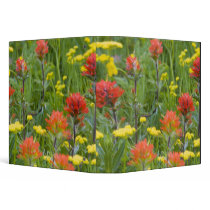 Indian paintbrush and biscuitroot wildflowers 3 ring binders
