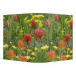 Indian paintbrush and biscuitroot wildflowers binders