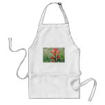 Indian Paintbrush Aprons