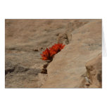 Indian Paintbrush in Rocks Blank Card