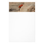 Indian Paintbrush in Rocks Floral Stationery
