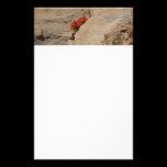 Indian Paintbrush in Rocks Floral Stationery