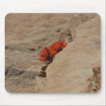 Indian Paintbrush in Rocks Mousepad