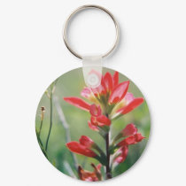 Indian Paintbrush keychains