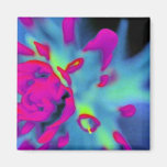 Indian Paintbrush Magnet