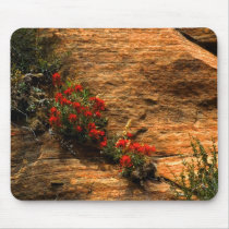 Indian Paintbrush Mousepad by WanderLinArts Indian Paintbrush Mousepad