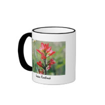 Indian Paintbrush Mug