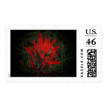  Indian Paintbrush postage