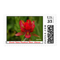 Indian Paintbrush , Scarlet Indian... - Customized postage