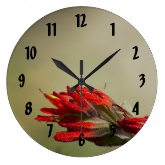 Indian Paintbrush Wall Clocks