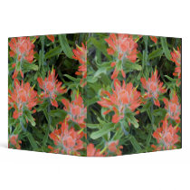 Indian paintbrush wildflowers in the Many Binder