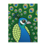 Indian Peafowl Post Cards