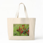 Indian Pink, Spigelia marilandica bags