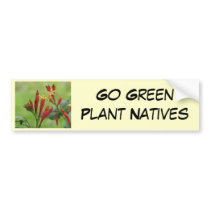 Indian Pink, Spigelia marilandica bumper stickers