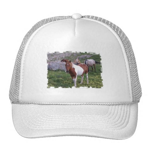 Indian Pony Baseball Hat 
