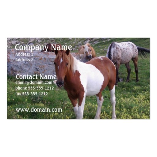Indian Pony Business Card (front side)