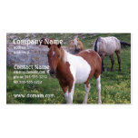 Indian Pony Business Card