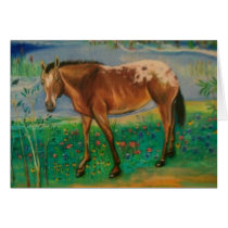Indian Pony cards
